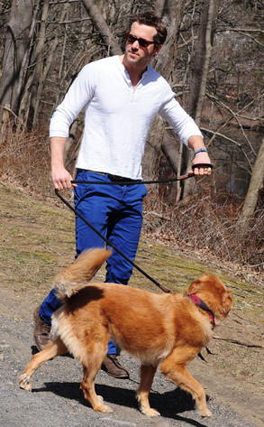 Ryan Reynolds Ryan Reynolds